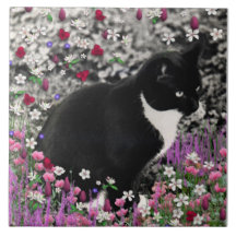 Fräknar i blommor II - smokingkattunge Kakel