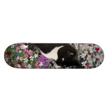 Fräknar i blommor II - smokingkattunge Skate Boards