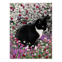 Fräknar i blommor II - smokingkattunge Vykort
