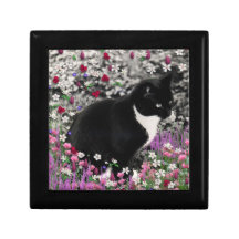 Fräknar i blommor II - svart vitsmokingkatt Presentförpackningar