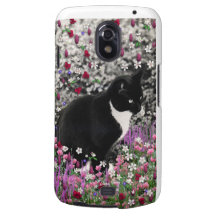 Fräknar i blommor II - Tuxkatt