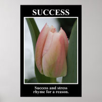 Framgång rimmar med spänningen för en resonera (v) posters