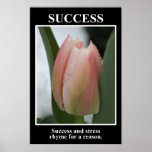 Framgång rimmar med spänningen för en resonera (v) posters