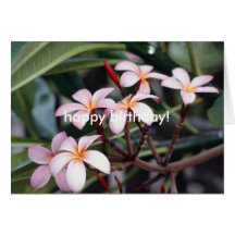Frangipaniblommor, grattis på födelsedagen! kort