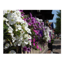 Frankenmuth Michigan Vykort