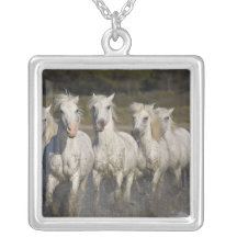 Frankriken Camargue. Hästspringa till och med 2na Anpassningsbara Smycken