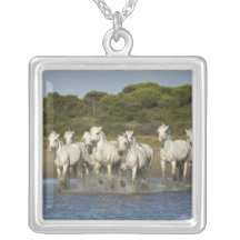 Frankriken Camargue. Hästspringa till och med bred Anpassningsbar Halsband