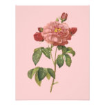 Fransk botanisk skönhet*Vintage Flowers* Personliga Tillkännagivande