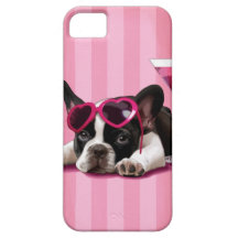 Fransk bulldoggvalp iPhone 5 hud