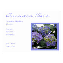 Franska baby blue vanlig hortensia visitkort mall