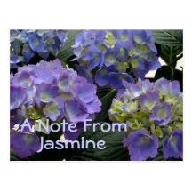 Franska baby blue vanlig hortensia vykort