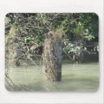 Fraser River Mousepad Mus Matta