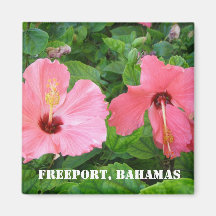 Freeport Bahamas magnet Magnet För Kylskåp