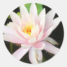 Fridfullt vatten Lilly Runda Klistermärken