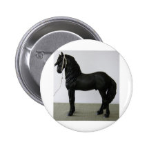 Friesian Knapp Med Nål