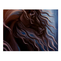 Friesianstorm Vykort