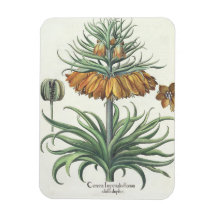 Fritillary: Duplic classe för kranImperialis floru Flexibel Magnet