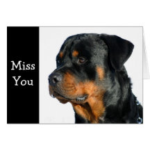 Fröcken dig kort för Rottweiler hundhälsning - Ver