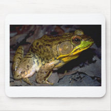 froggreen3 musmatta
