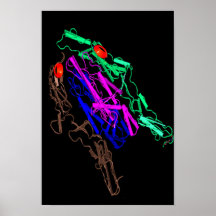 Froggy esterasen posters