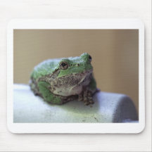 frogtree musmatta
