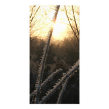 Frost Anpassade Foto Kort