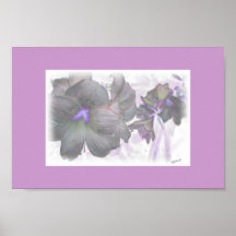 "Frostad blomma ", Affischer