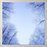 frostade trees posters