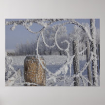 Frostigt paradis print