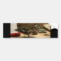 Fru Trä Ducka Bildekal