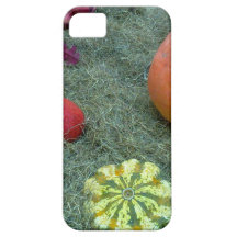 frukter för pumpanedgånghöst iPhone 5 fodral