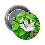 Fruktträdblomma Knappar
