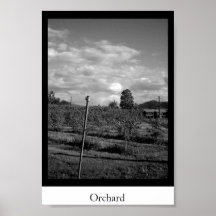 Fruktträdgård Print