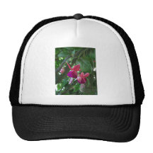 Fuchsia 2 keps