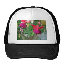 Fuchsia 3 baseball hat