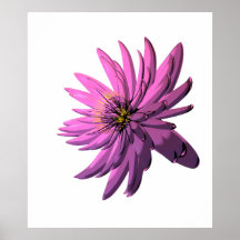 Fuchsia Chrysanthemumblommaillustration Affischer