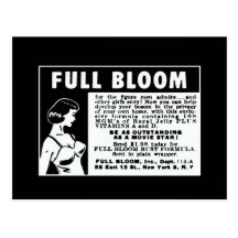 Full blom - förhöjande vitaminer för bröst vykort