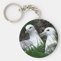 "Fulmars in love" Key Chain