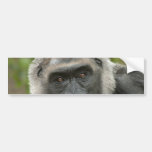 Fundersam gorilla bildekal