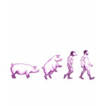Funny evolution tees