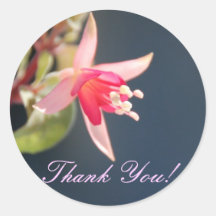 Fuschia bröllopklistermärke