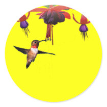 Fushia och Hummingbird