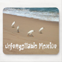 Fyra Egrets; Mexico souvenir Mus Mattor