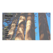 Fyra sequoias, Sequoianationalpark, Kalifornien, Visitkort Mallar