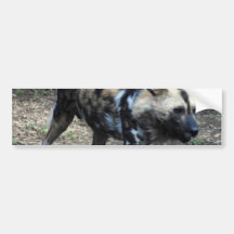 Gå vildhundbildekalet