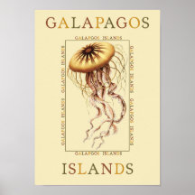Galapagos ömanet posters