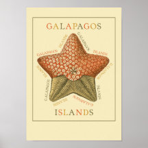 Galapagos ösjöstjärna affisch