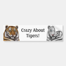 Galet om tigerbildekal