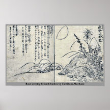 Galt som sovar under buskar vid Tachibana, Morikun Posters