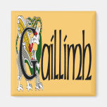 Galway (Gaelic) magnet Magneter
